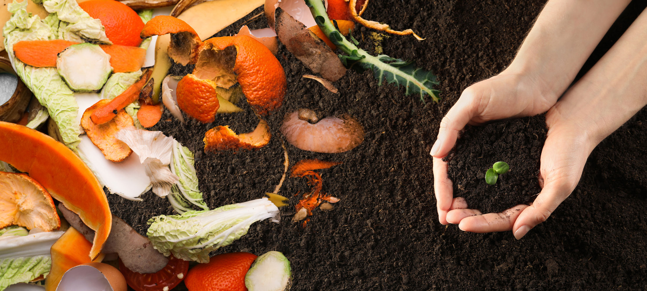 Kuala Lumpur Convention Centre Gives Food Waste New Life with Sustainable Initiatives
