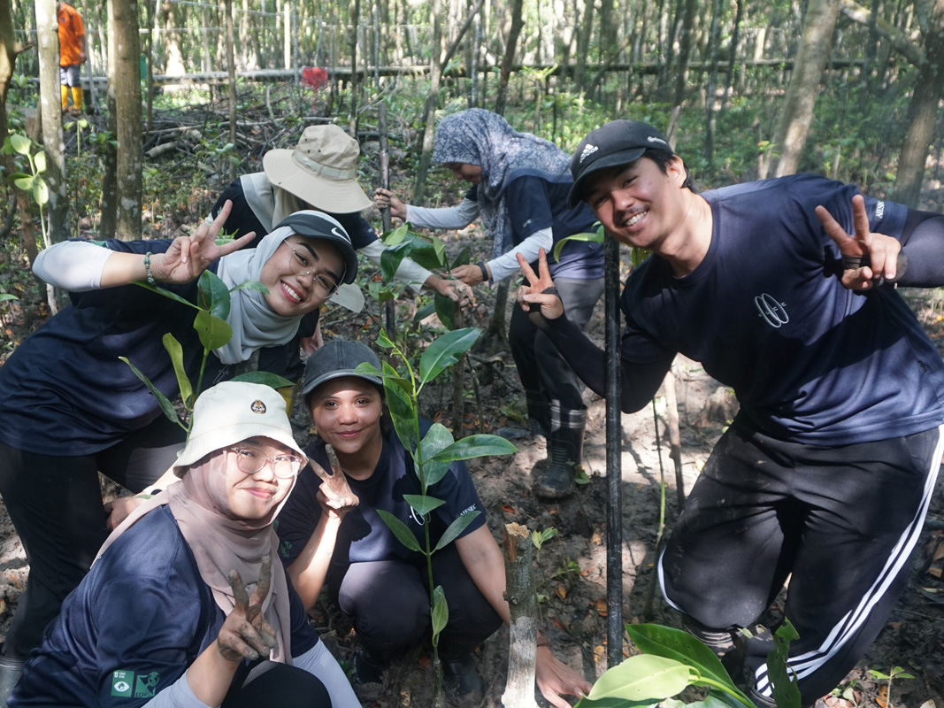 Mangrove Planting Programme
