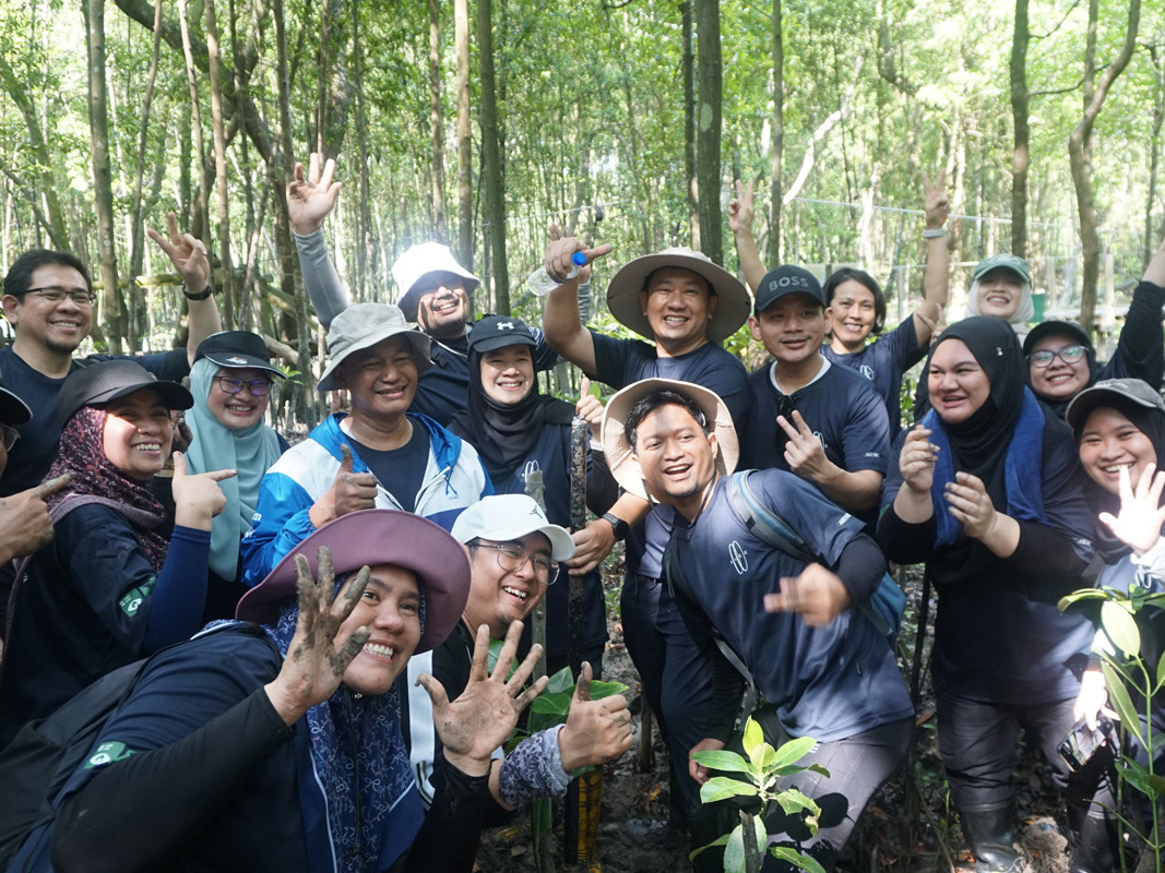 Mangrove Planting Programme