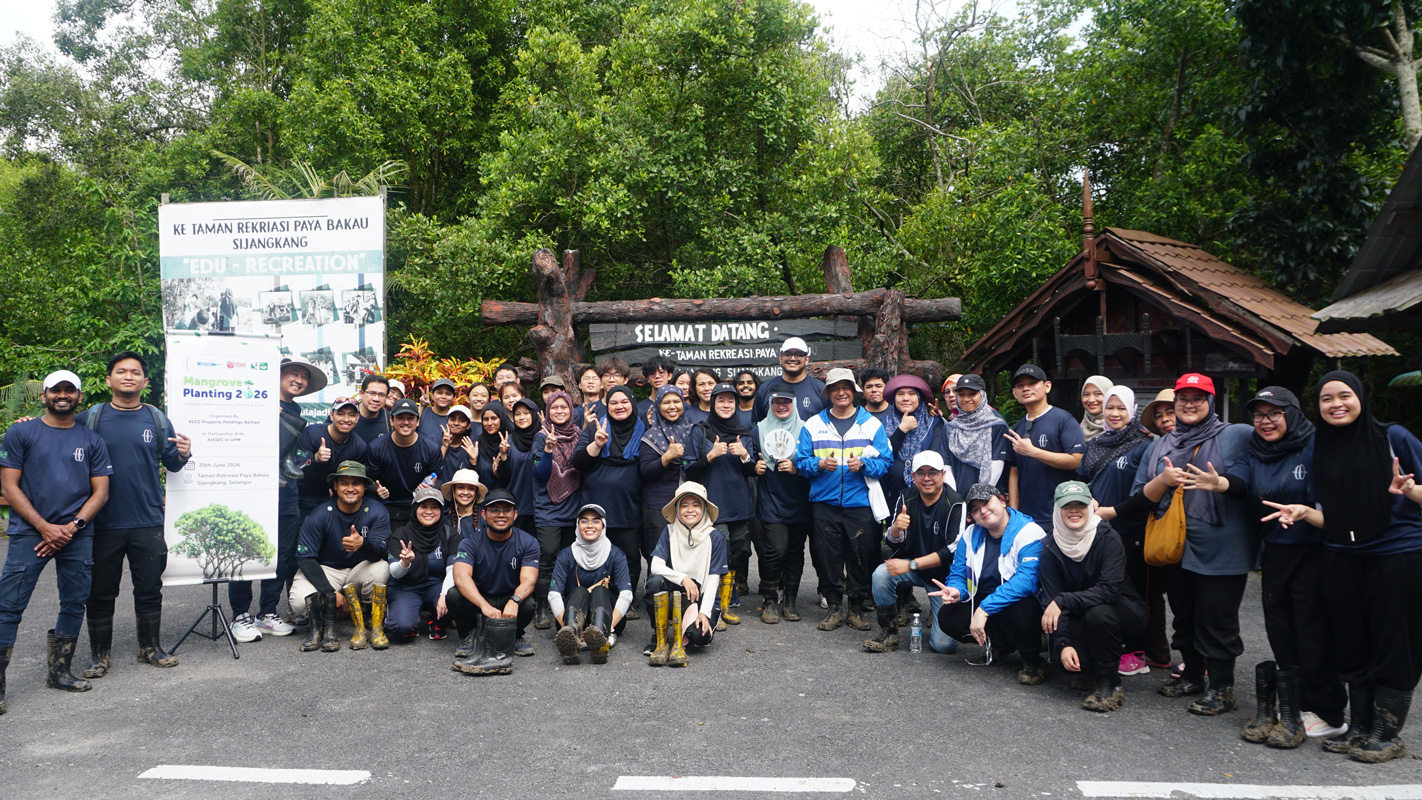 Mangrove Planting Programme