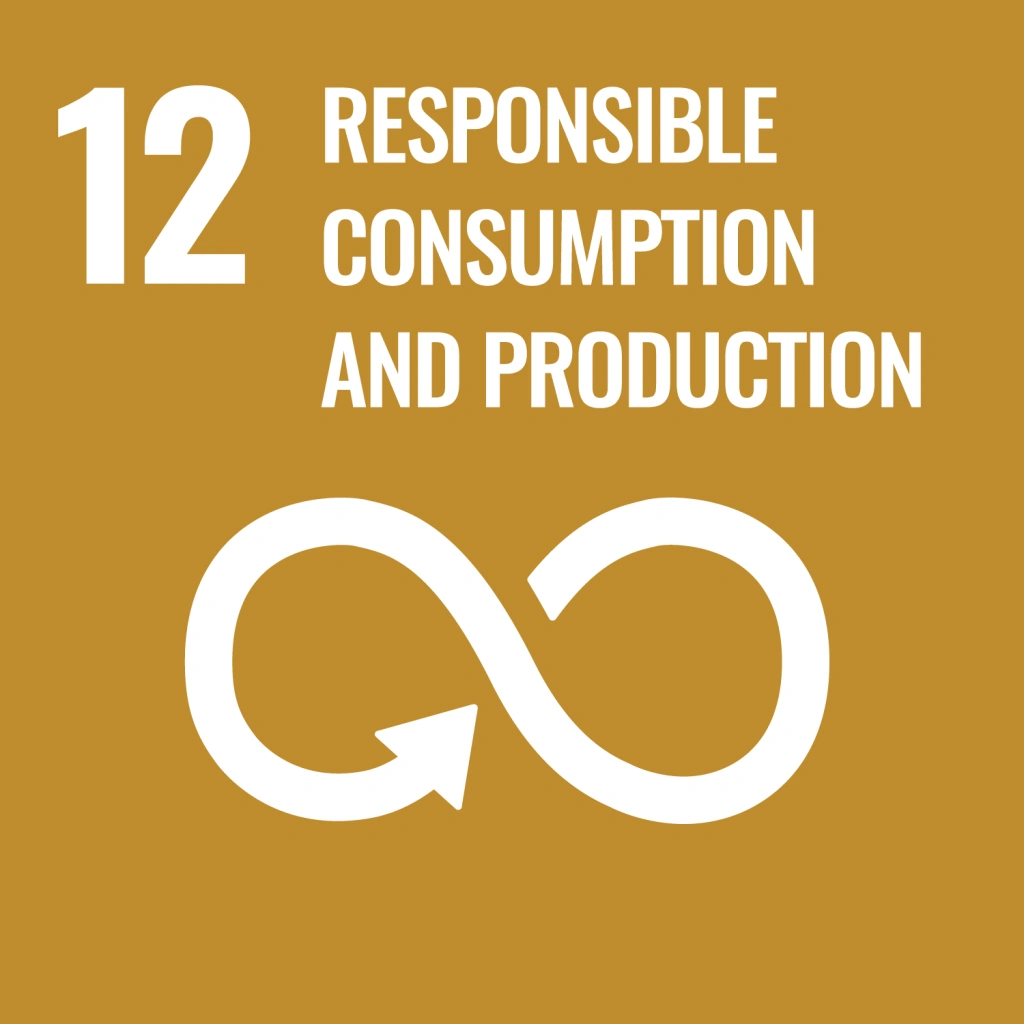 UN-SDGs-12-icon