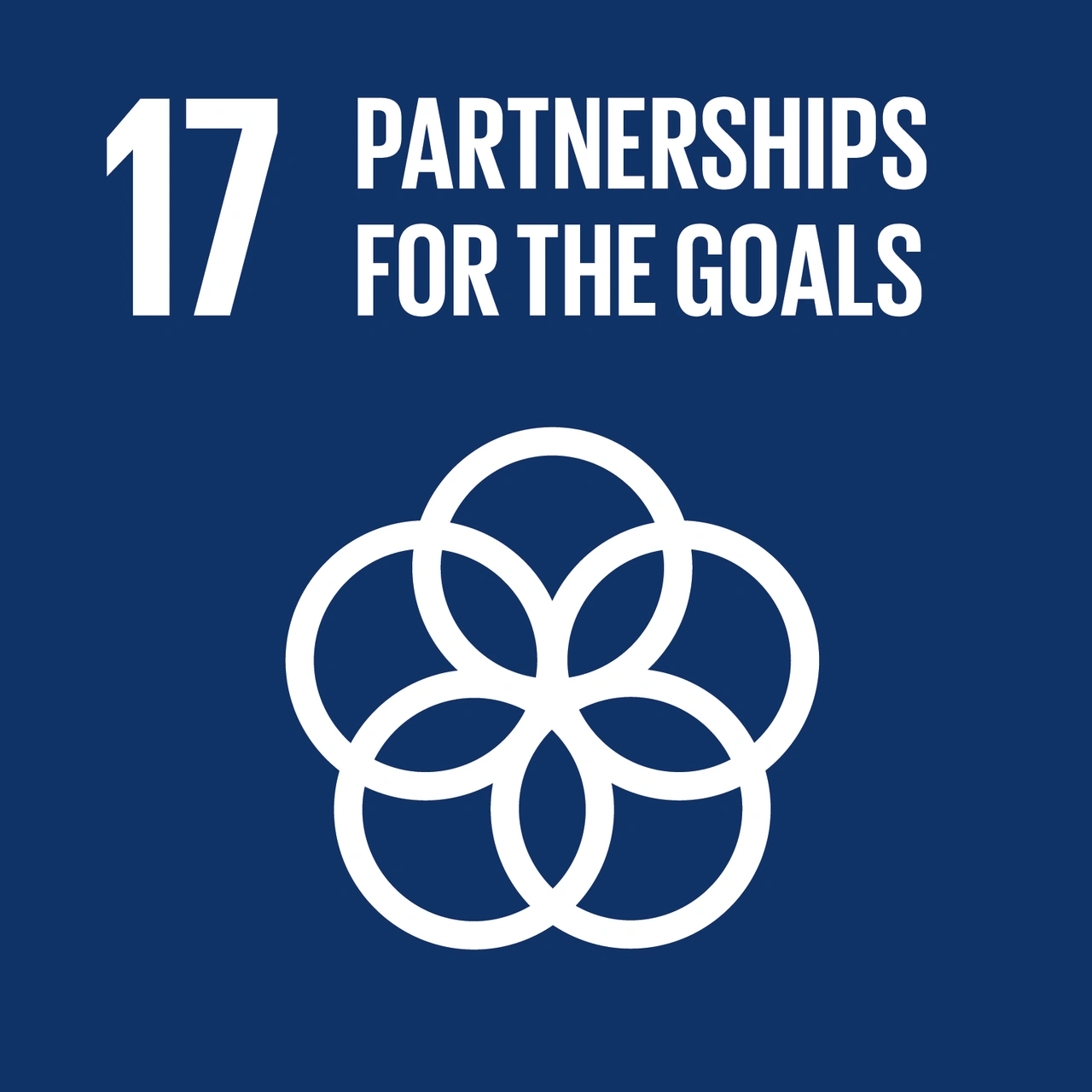 UN-SDGs-17-icon