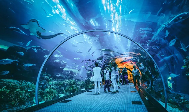 aquaria KLCC