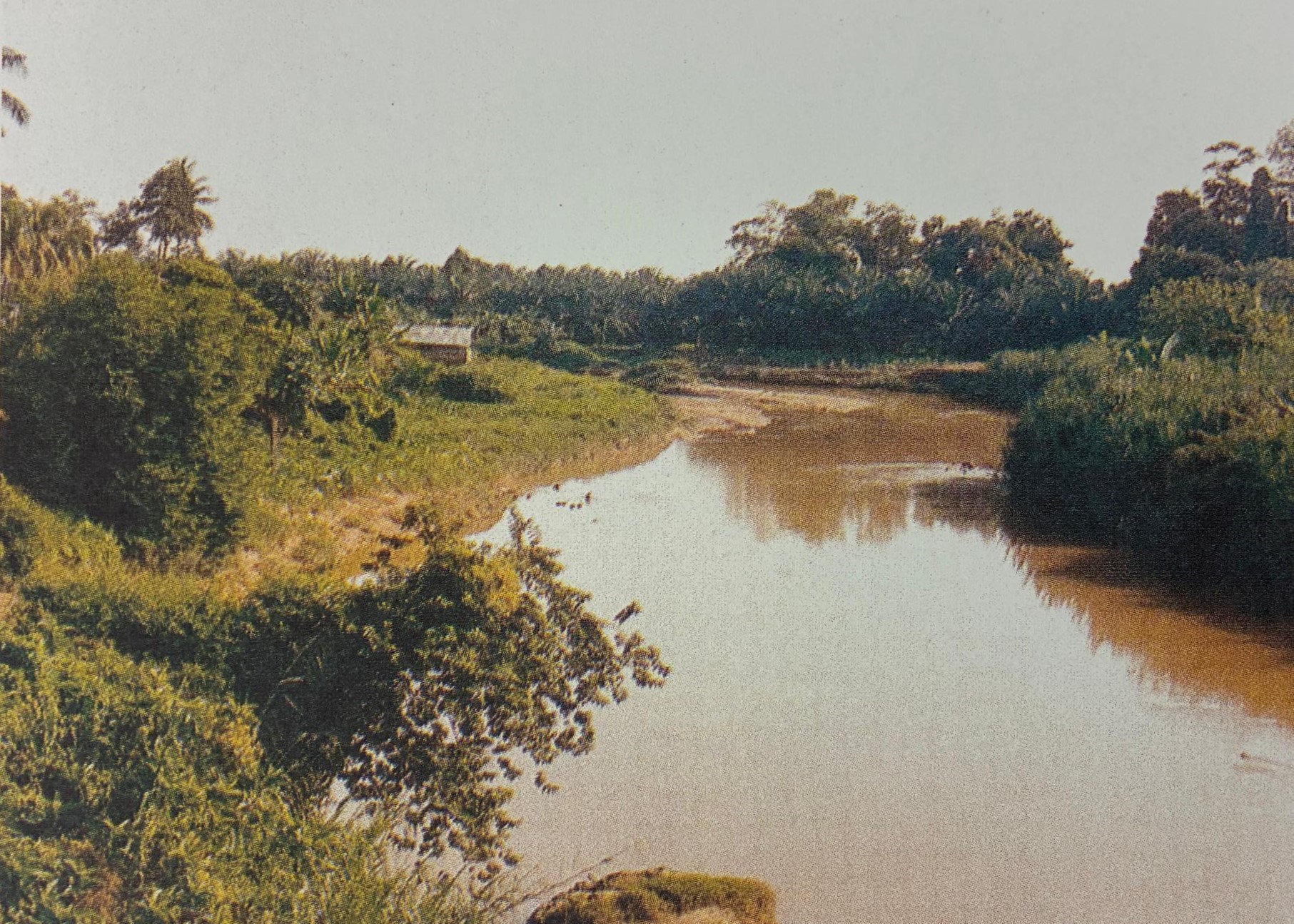 Prang Besar Estate in 1993, representing the agricultural landscape prior to Putrajaya’s transformation.